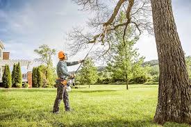Best Organic Lawn Care Solutions  in South Lockport, NY