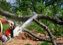 Best Lawn Watering Services  in South Lockport, NY