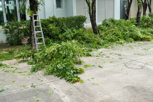 Soil Testing and Treatment in South Lockport, NY