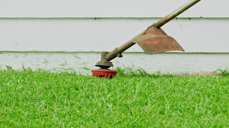 Best Lawn Irrigation Installation and Maintenance  in South Lockport, NY