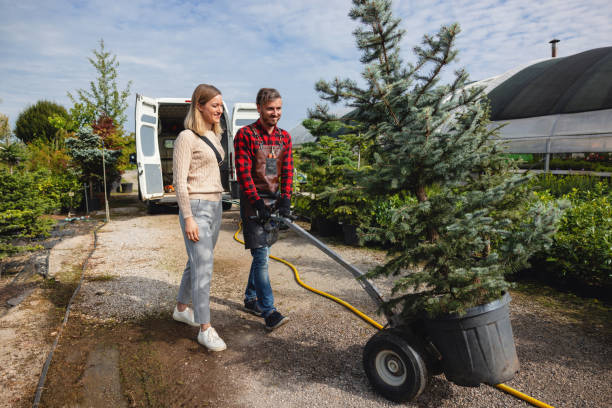 Best Firewood Processing and Delivery  in South Lockport, NY